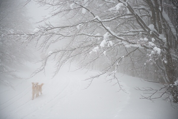 Photograph Michele Fornaciari White Path on One Eyeland