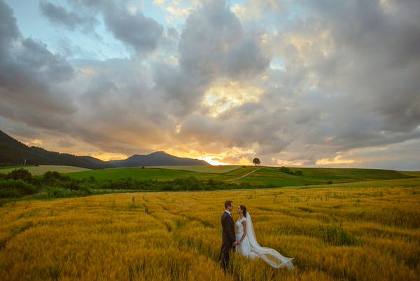 Photograph Jan Rabara Love In Field on One Eyeland