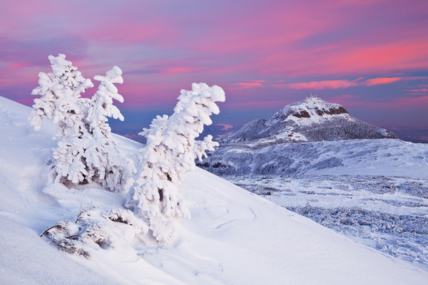 Photograph Zsolt Andras Szabo Pink And White on One Eyeland