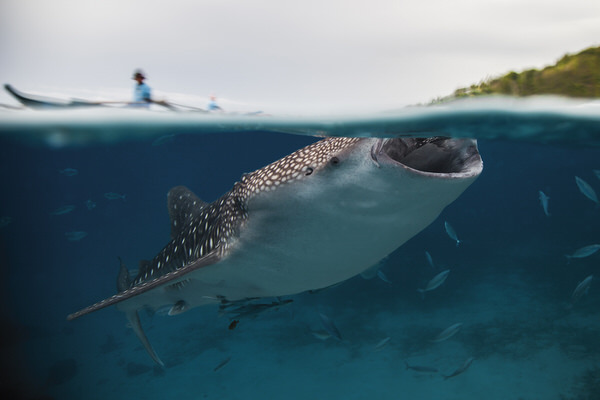 Photograph Lukas Charwat Where Is The Dentist on One Eyeland