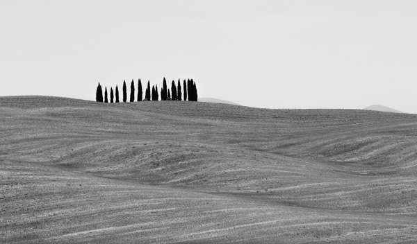Photograph Sorin Tudorica Shapes Of Tuscany on One Eyeland
