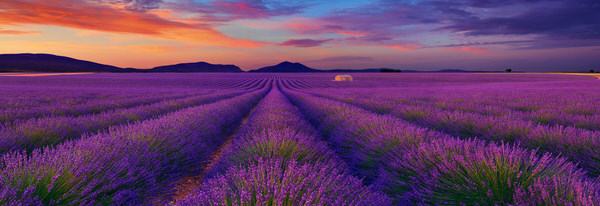 Photograph Peter Lik Le Reve on One Eyeland
