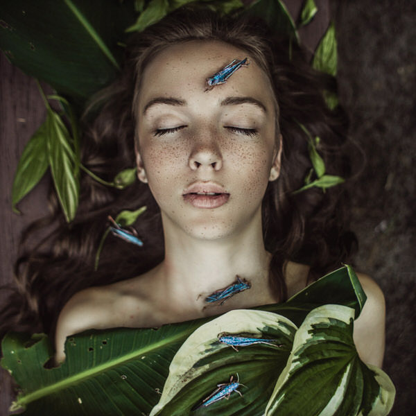 Photograph Marta Sliwak Cicadas on One Eyeland