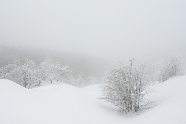 Photograph Michele Fornaciari Il Morbido Suono Delle Neve on One Eyeland