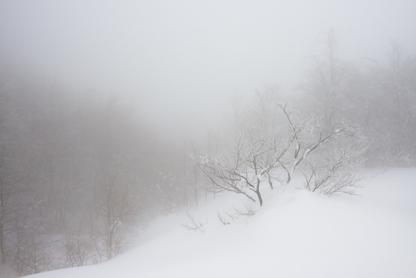 Photograph Michele Fornaciari Il Morbido Suono Delle Neve Ii on One Eyeland
