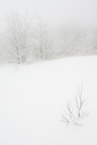 Photograph Michele Fornaciari Il Morbido Suono Delle Neve Iii on One Eyeland