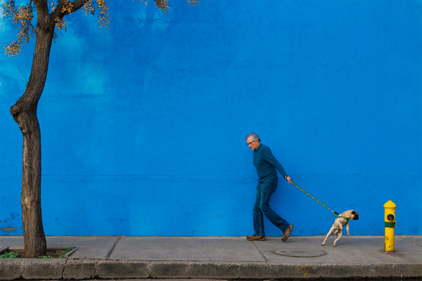 Photograph Francisco Ubilla A Man And His Dog on One Eyeland