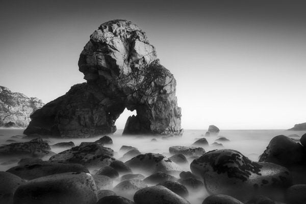 Photograph Zsolt Andras Szabo Gorilla on One Eyeland