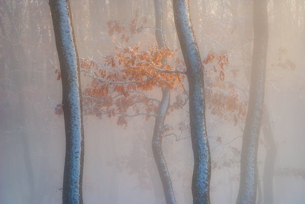 Photograph Zsolt Andras Szabo Thin Air on One Eyeland