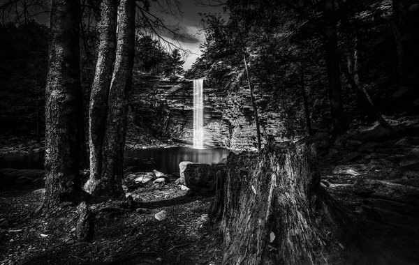 Photograph Jackson Carvalho America In Noir 3 on One Eyeland