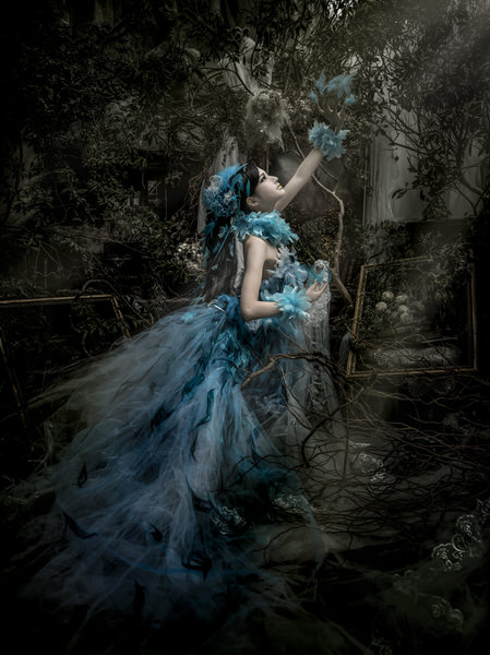Photograph Haseo Hasegawa Feathers on One Eyeland
