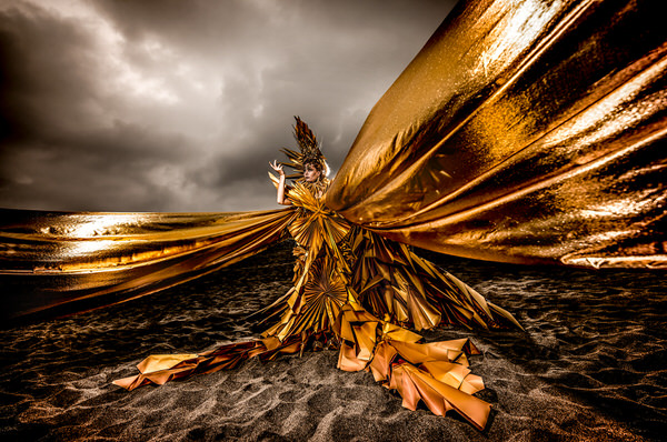 Photograph Haseo Hasegawa Golden Paper on One Eyeland