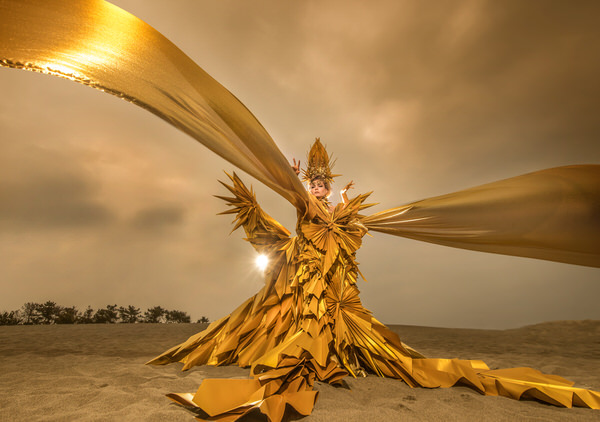Photograph Haseo Hasegawa Golden Paper 2 on One Eyeland