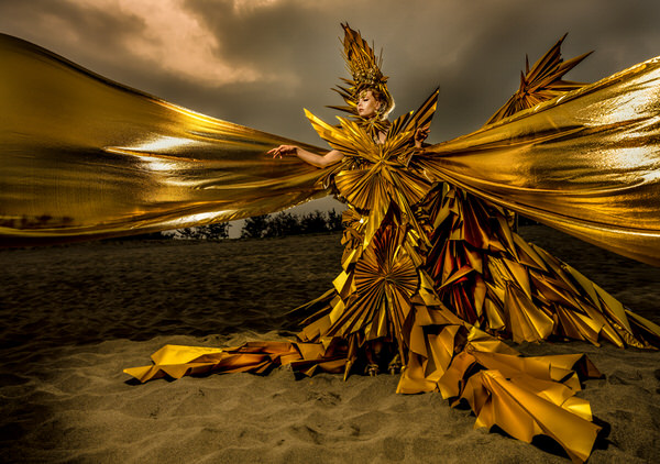 Photograph Haseo Hasegawa Golden Paper 3 on One Eyeland