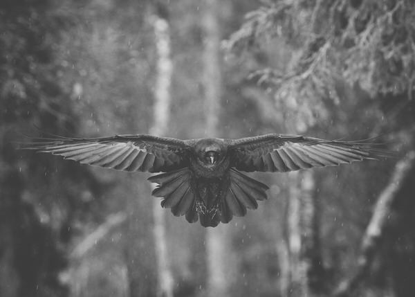 Photograph Ukko Juntunen Coming For You on One Eyeland