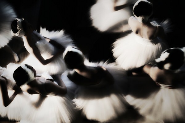 Photograph Hajime Yoshida Swan Lake on One Eyeland