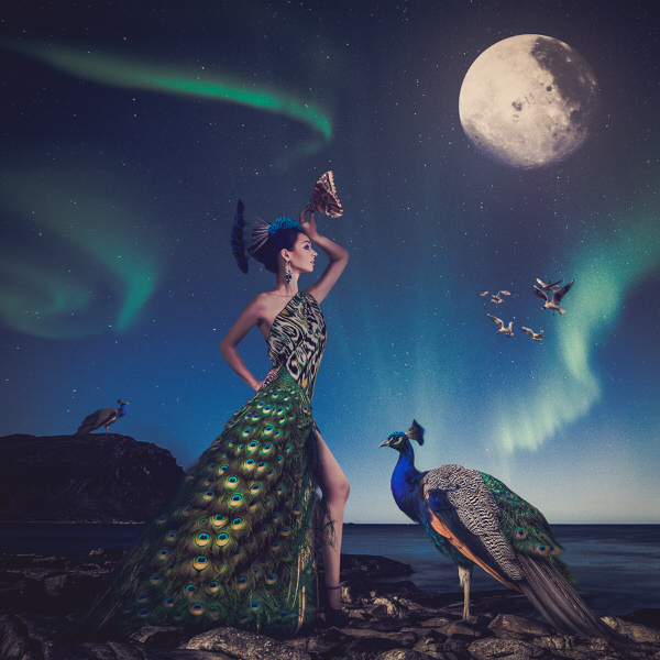 Photograph Emma Wills Iridescence on One Eyeland