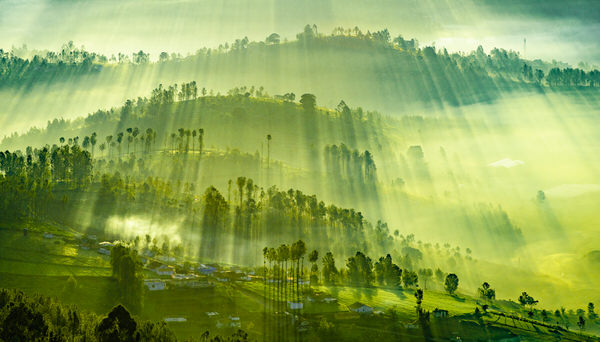 Photograph Gunjan Sardare Misty Mornings on One Eyeland