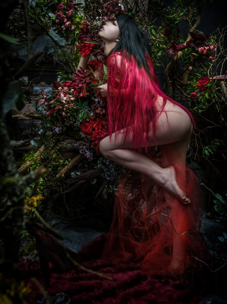 Photograph Haseo Hasegawa Blood on One Eyeland