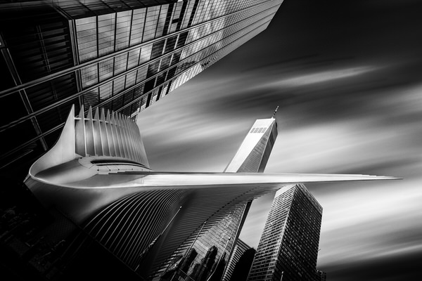 Photograph Jackson Carvalho America In Noir 7 on One Eyeland