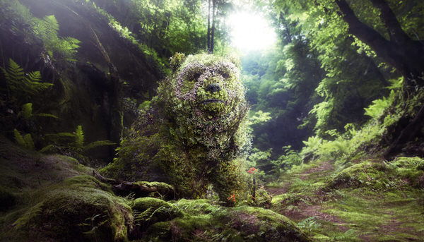 Photograph Karla Cordova Everybody Is Part Of The Nature on One Eyeland