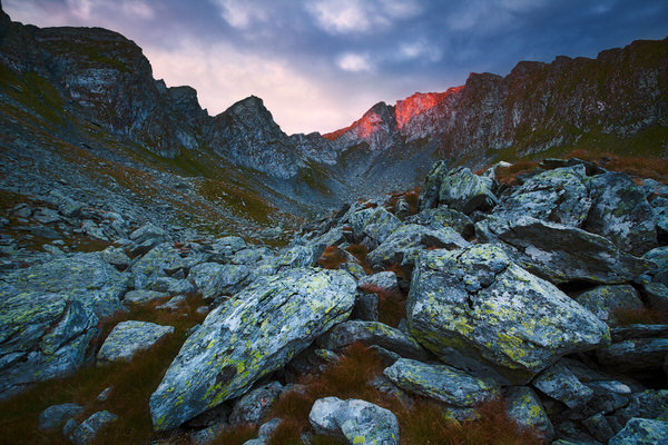 Photograph Zsolt Andras Szabo Rocky Garden on One Eyeland