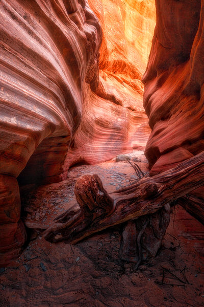 Photograph Brian Adamson Peek A Boo Canyon on One Eyeland
