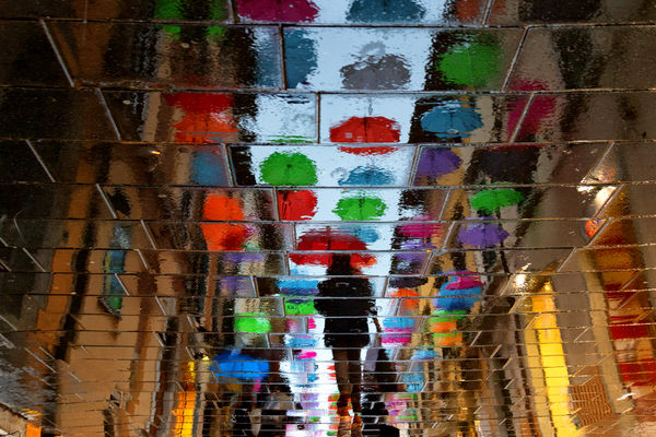 Photograph Della Latta Massimo  Ombrelli on One Eyeland