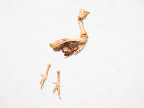 Photograph Amanda Hibbert American Offal Chicken on One Eyeland