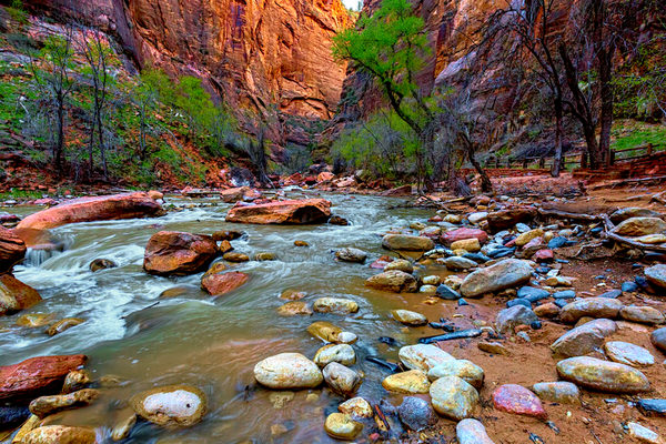 Photograph Brian Adamson Zion Virgin River on One Eyeland