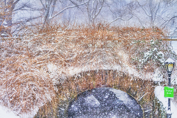Photograph Mitchell Funk Trefoil Arch on One Eyeland
