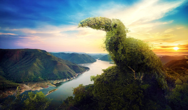 Photograph Karla Cordova We Are The Nature on One Eyeland