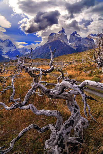 Photograph Bernardo Galmarini Petrified Dragon on One Eyeland