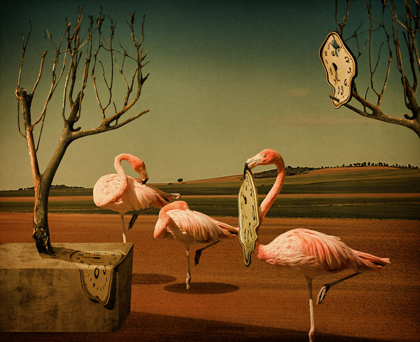 Photograph Svetlana Melik Nubarova Dalitime on One Eyeland