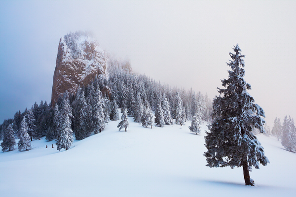 Photograph Zsolt Andras Szabo Together on One Eyeland