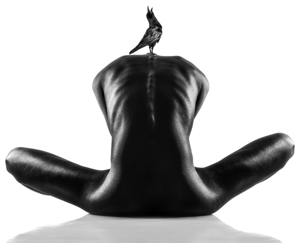 Photograph Jackson Carvalho Sculpture 6 on One Eyeland