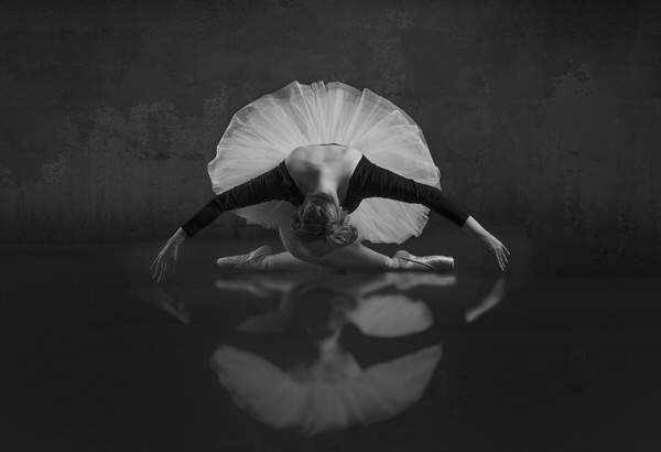 Photograph Marc Sabat The Swan Song on One Eyeland
