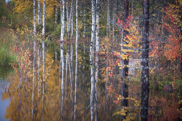 Photograph Ukko Juntunen Reflection on One Eyeland