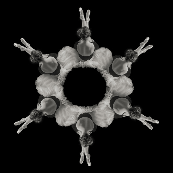 Photograph Marc Sabat Sweet Leaf on One Eyeland