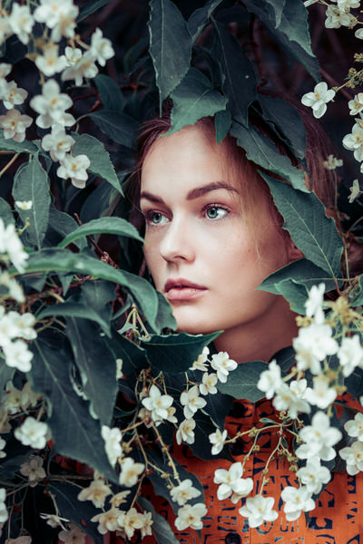 Photograph Sanna Vornanen Wonderland Vintage 4 on One Eyeland