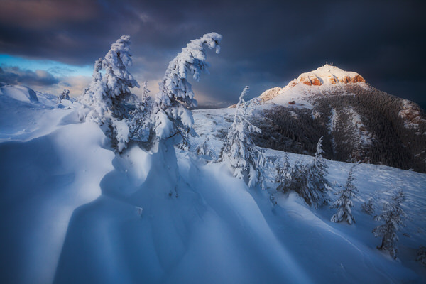 Photograph Zsolt Andras Szabo Winter Claws on One Eyeland