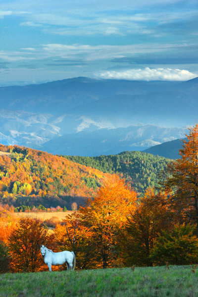 Photograph Marko Radovanovic Welcome To Serbia Autumn on One Eyeland
