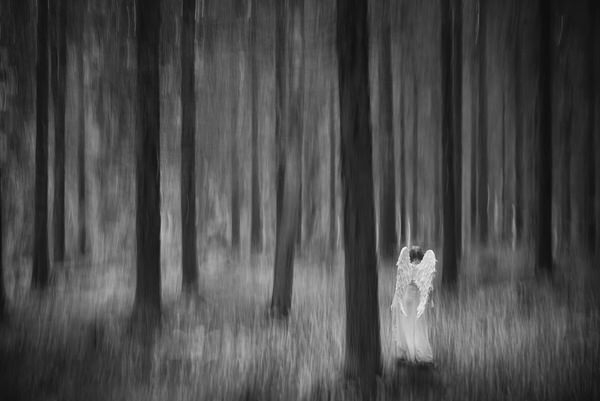 Photograph Niko Puumalainen Lost Soul on One Eyeland