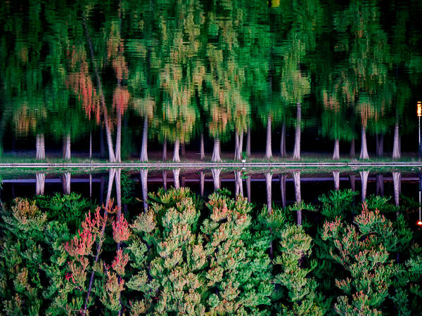 Photograph Marius Surleac Fallacoustics on One Eyeland