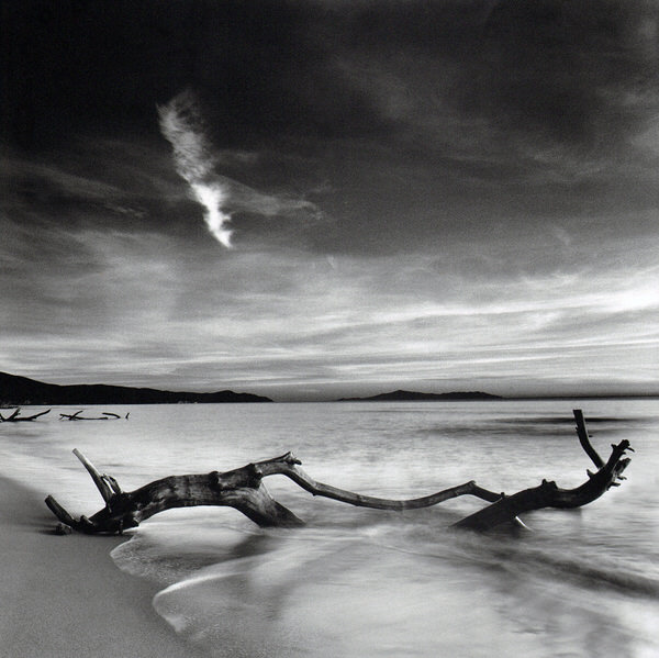 Photograph Massimo Vannozzi Abandoned Logs on One Eyeland