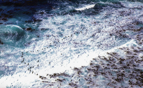 Photograph Zuzana Kamel Cliff View on One Eyeland
