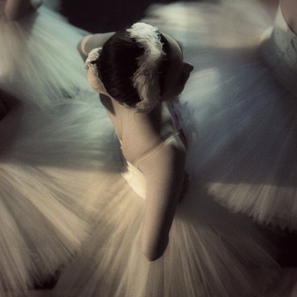 Photograph Hajime Yoshida Swan on One Eyeland