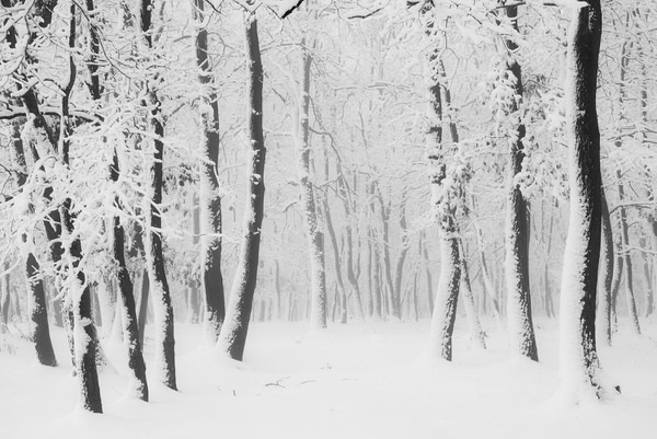 Photograph Zsolt Andras Szabo Graphic Winter on One Eyeland
