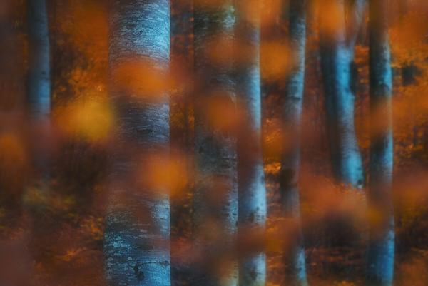 Photograph Zsolt Andras Szabo Hidden on One Eyeland