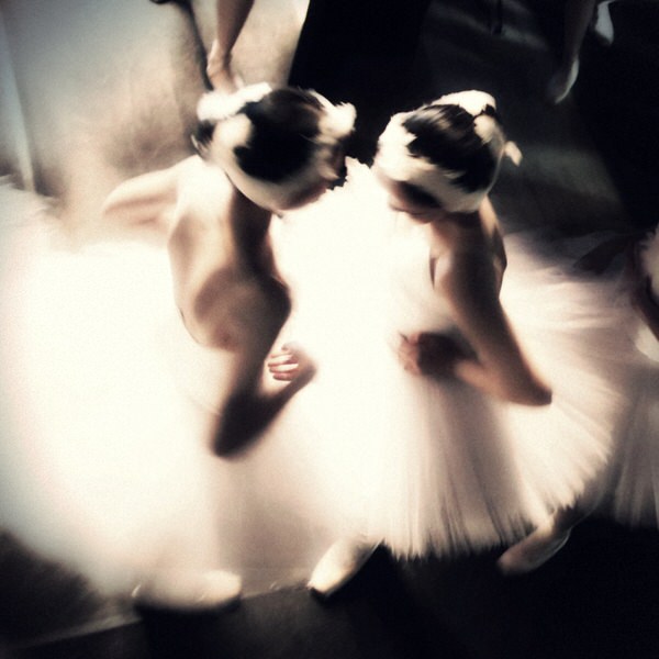 Photograph Hajime Yoshida Swans on One Eyeland